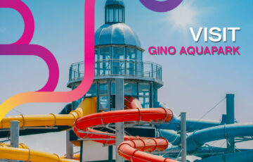 GINO WEB ENG
