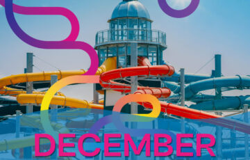 GINO WEB DECEMBER